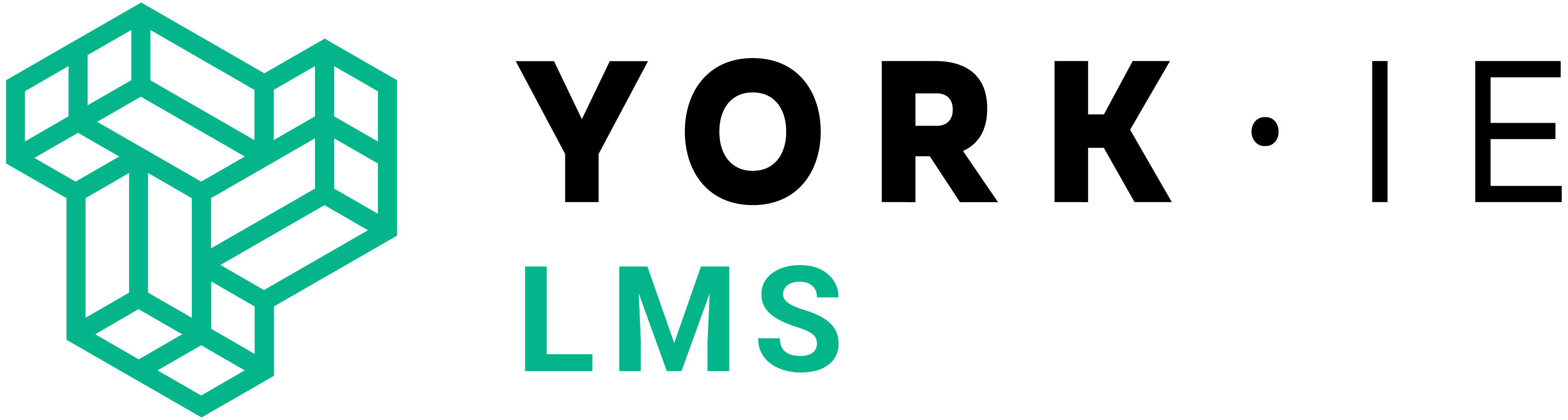 York IE Logo